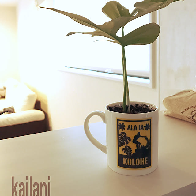 kaiLaniさんの実例写真