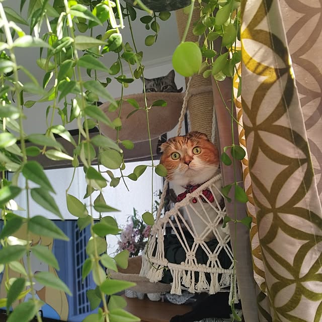 hiro3さんの部屋