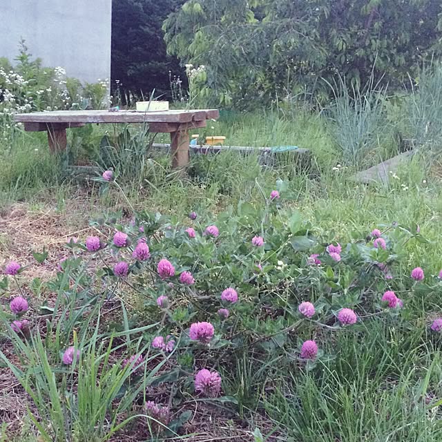 fukuさんの実例写真