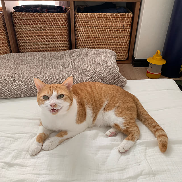73さんの実例写真