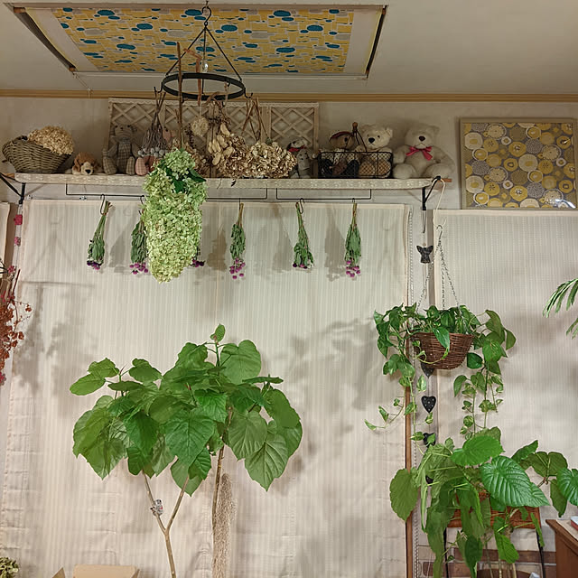 kouheiyuto24623takaさんの実例写真