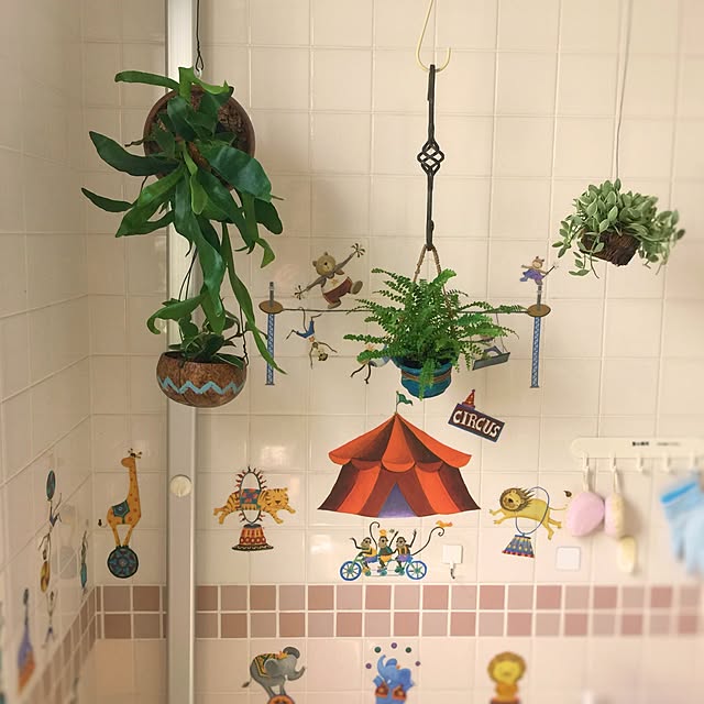 satochanさんの実例写真