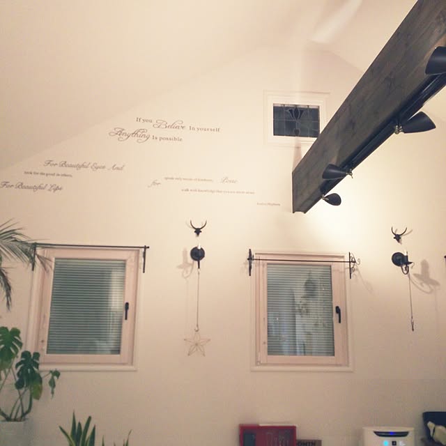 toroさんの実例写真