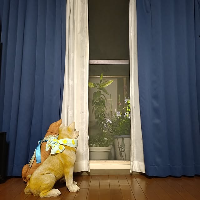 NOAHさんの部屋