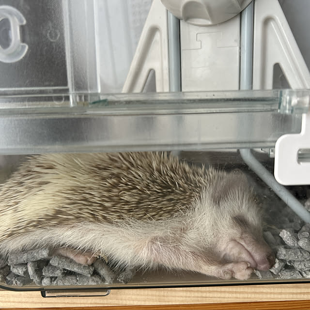 yunyumさんの部屋