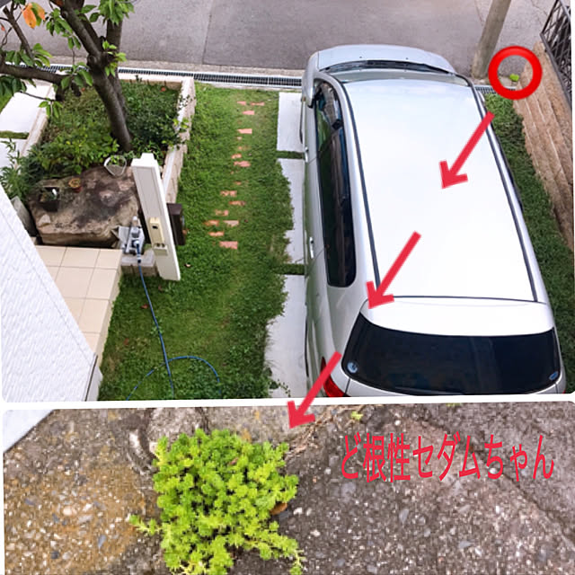 rizumu4649さんの実例写真