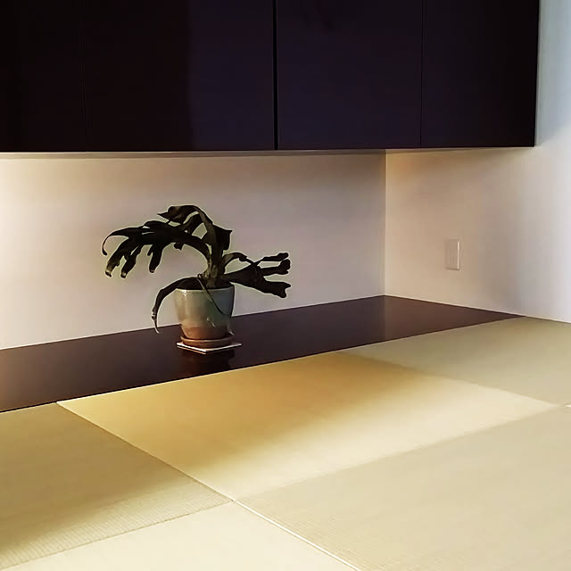 部屋全体のインテリア実例 - 2017-10-01 18:31:28