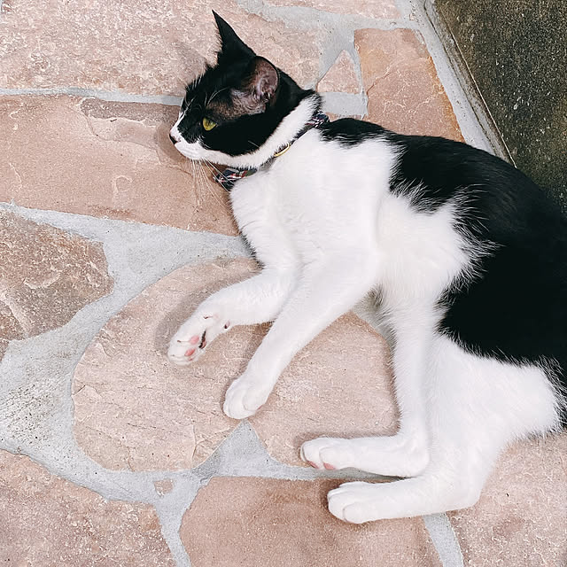 moolさんの実例写真