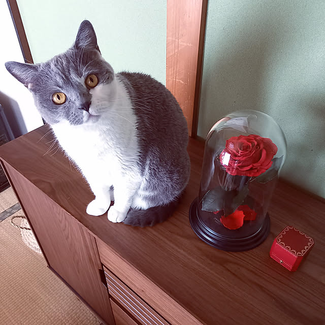 rhuさんの実例写真