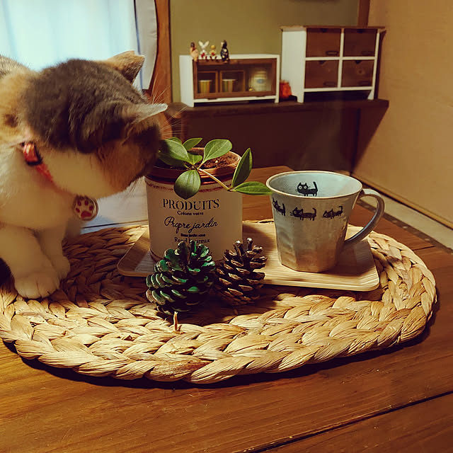 fukuさんの実例写真
