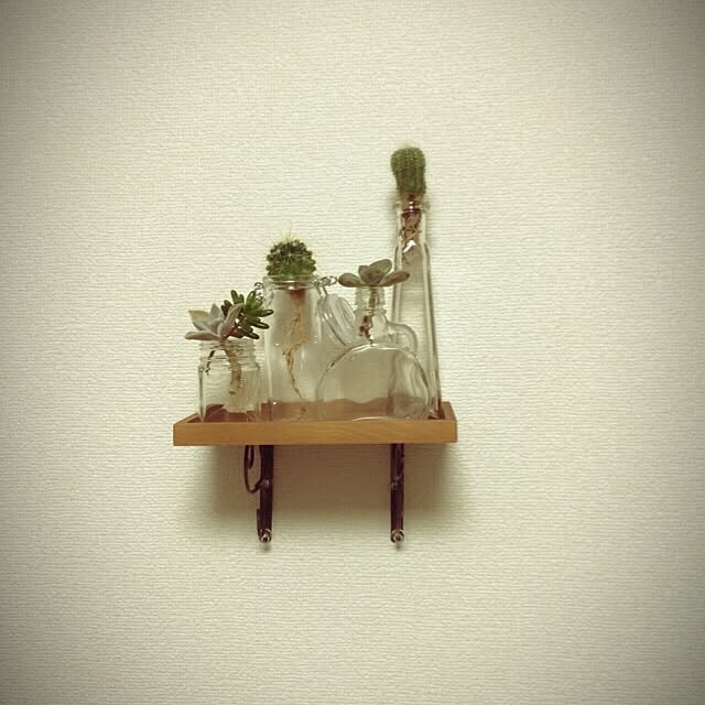 壁/天井/多肉植物/植物/100均/ナチュラル...などのインテリア実例 - 2015-12-12 20:07:48