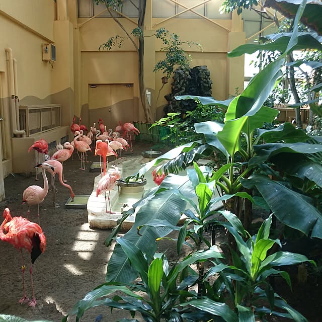 Rさんの実例写真