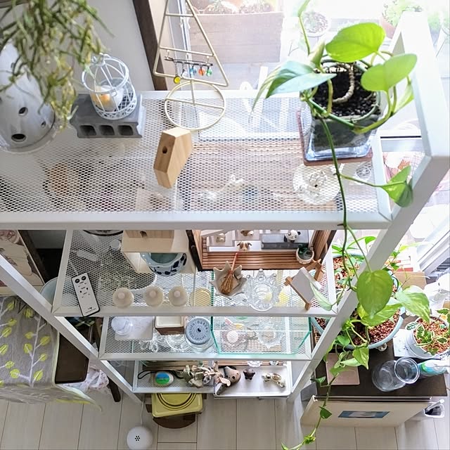mi-saさんの部屋
