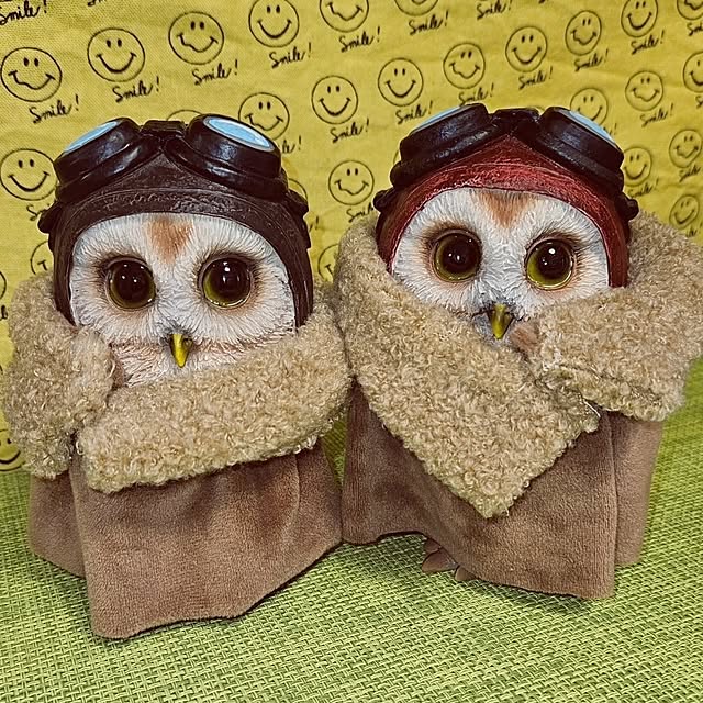 mocomocoさんの実例写真