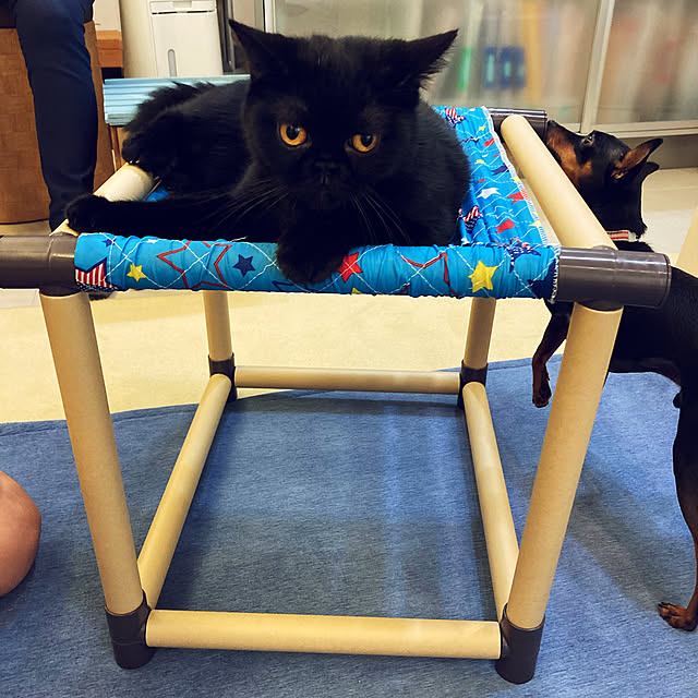 OPQRKUKUさんの実例写真