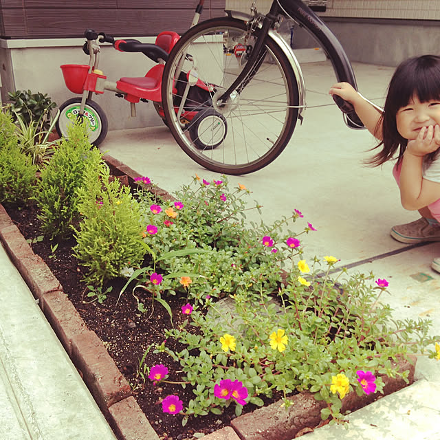 yukaさんの実例写真