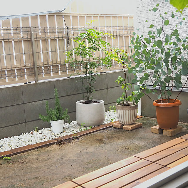 Shinohazuさんの実例写真