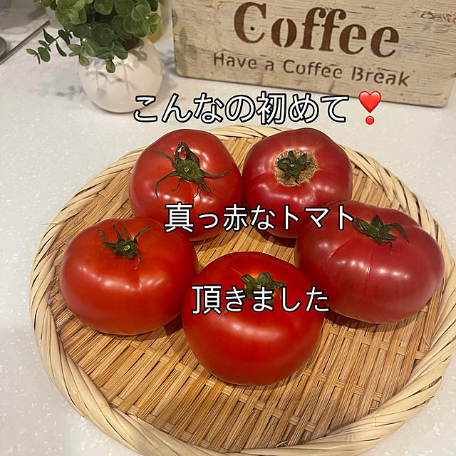 机/頂きもの♡/トマト/猫と暮らす家/山暮らし...などのインテリア実例 - 2025-06-04 10:14:54