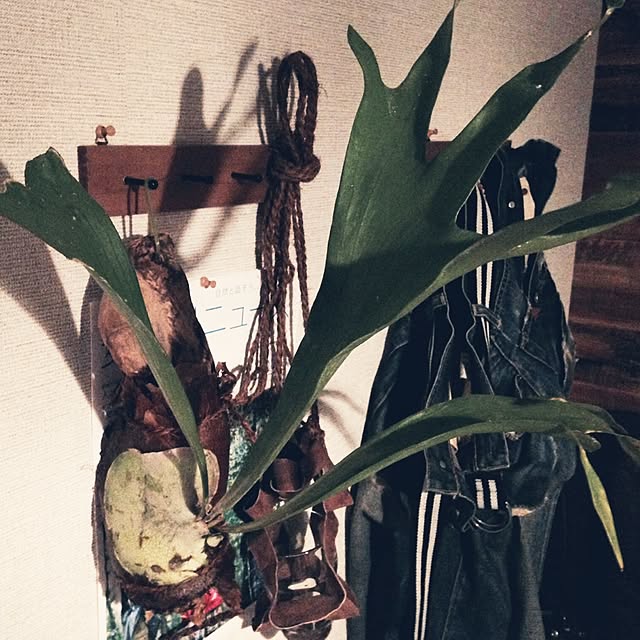 aknb08さんの実例写真