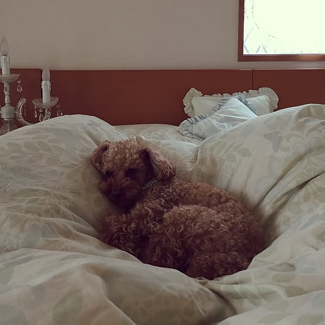 yukkoさんの実例写真