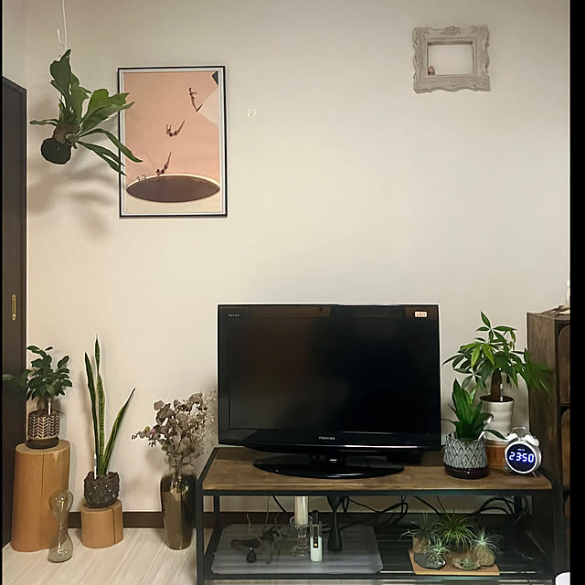 ansamさんの実例写真