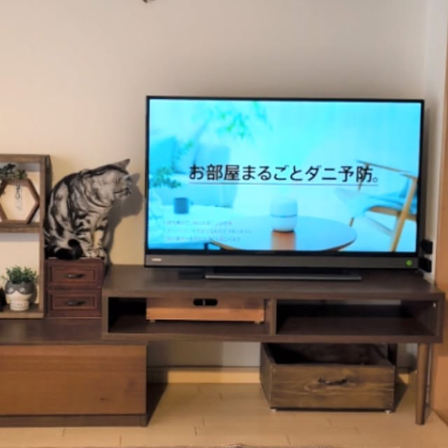 lovepeaceさんの実例写真