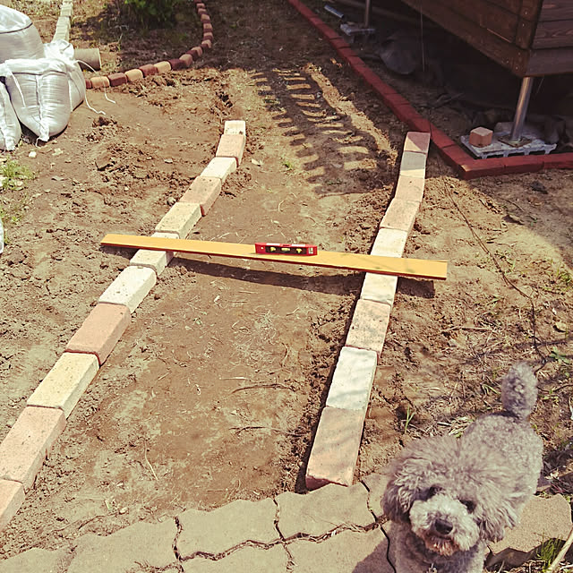 shorinさんの実例写真