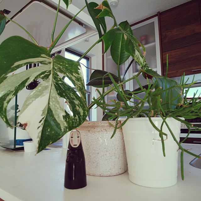 koruhariさんの実例写真