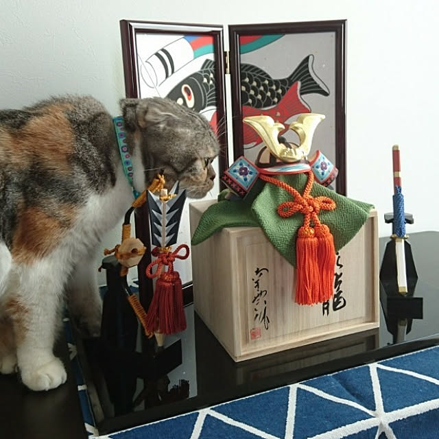 takiko0407さんの実例写真