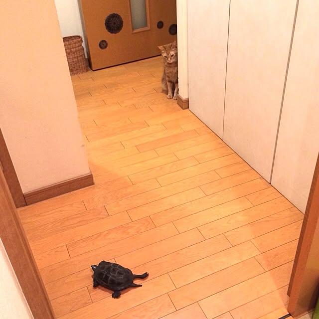 Junさんの実例写真