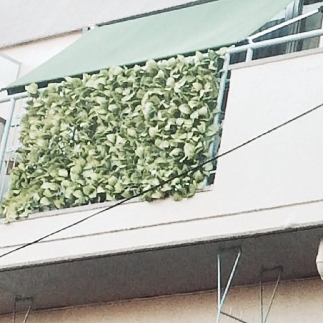 shingobmさんの実例写真