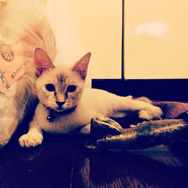 Naoki.さんの実例写真