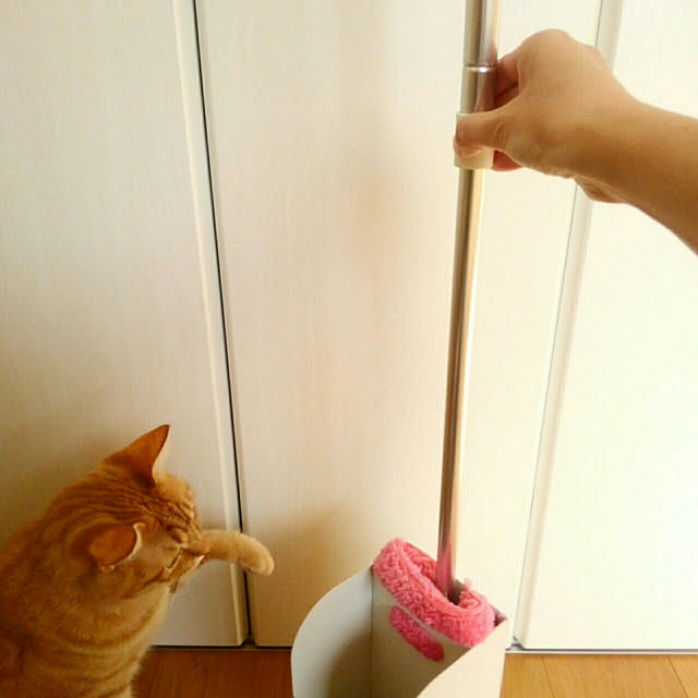 mayutan.さんの実例写真