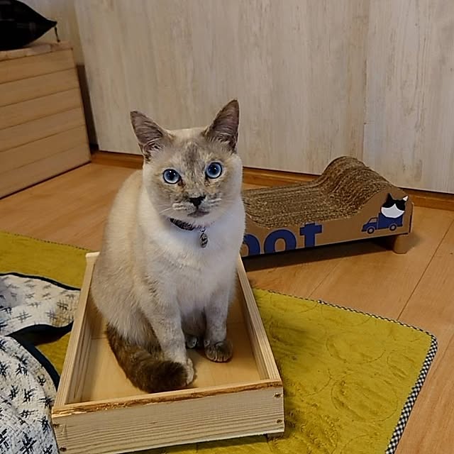 kiyohima229さんの実例写真