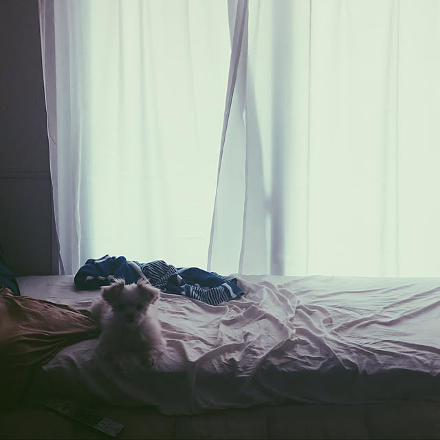 pandaさんの実例写真