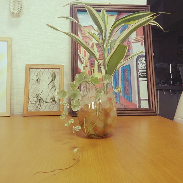 makimakiさんの実例写真
