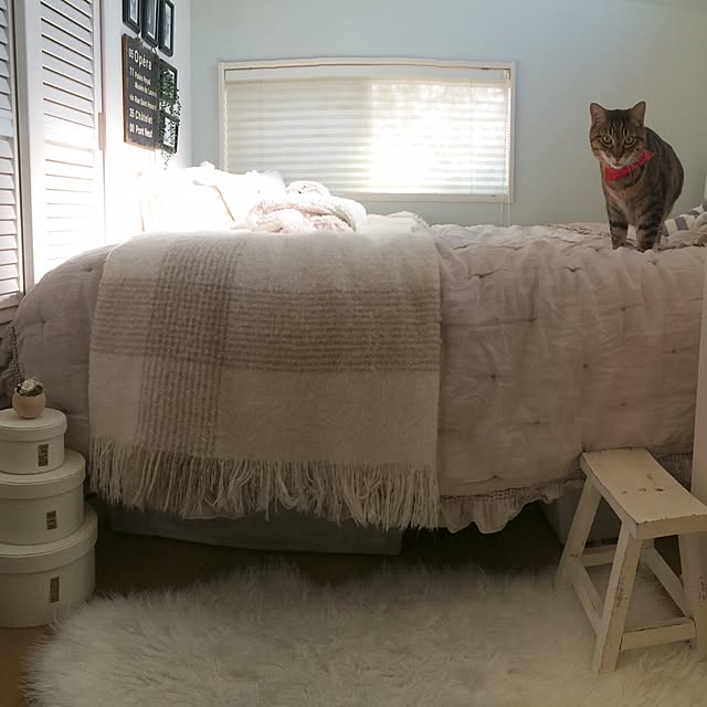 lovecatさんの実例写真