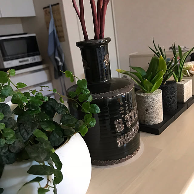 キッチン/雑貨/観葉植物のインテリア実例 - 2018-02-11 01:31:20