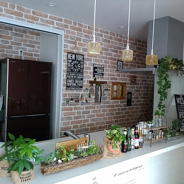 キッチン/NO GREEN NO LIFE/観葉植物のインテリア実例 - 2018-07-29 11:20:32
