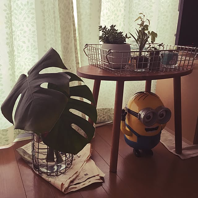 RITSUさんの実例写真