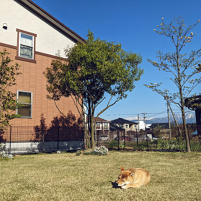s_h_yさんの実例写真