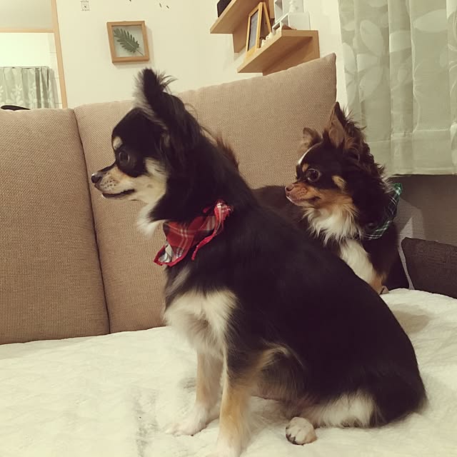 yuさんの実例写真