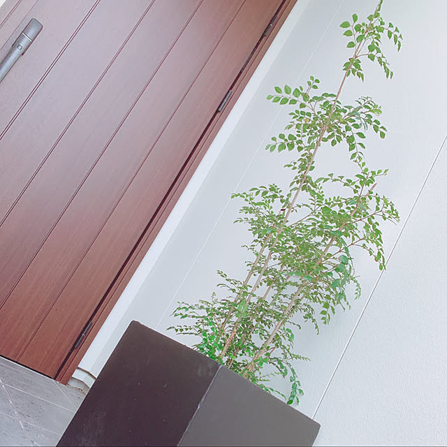 nanaさんの実例写真