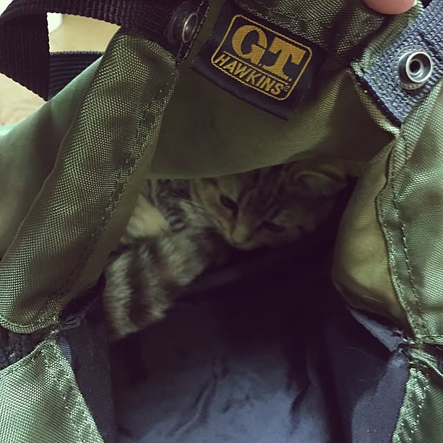 keibooさんの実例写真