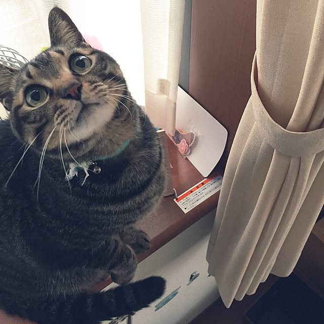 tomotoさんの実例写真