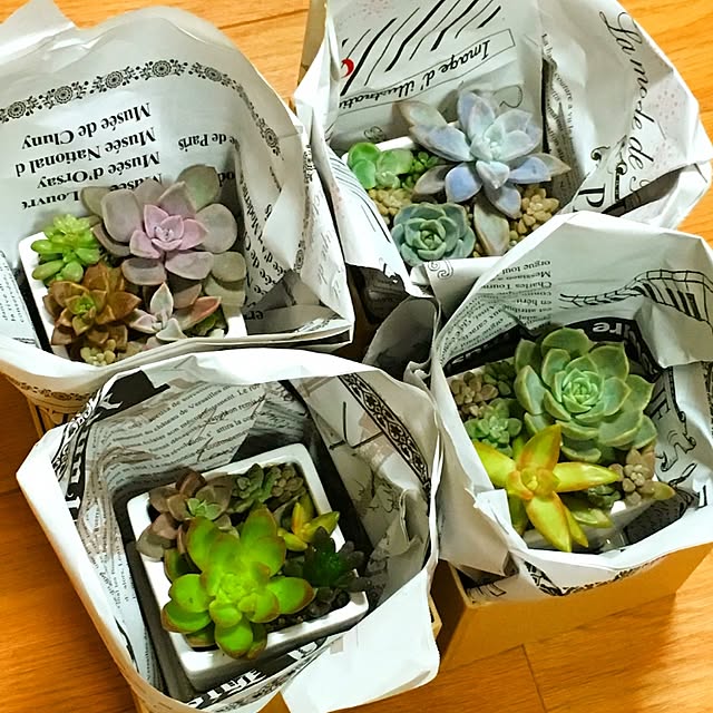 PIONさんの実例写真