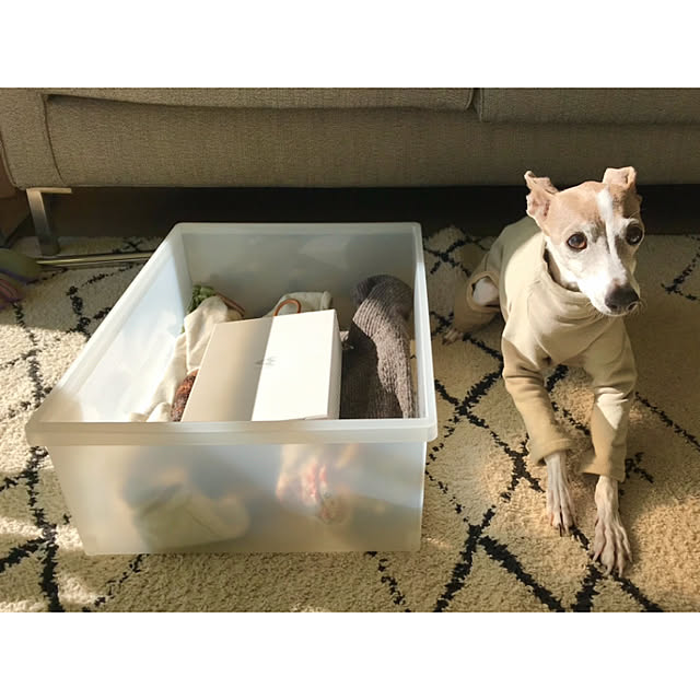 kuboxさんの実例写真