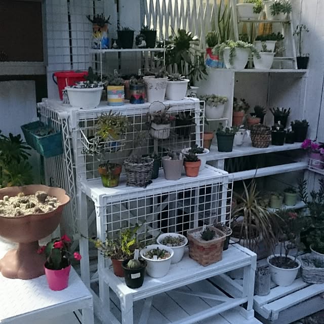玄関/入り口のインテリア実例 - 2017-02-22 00:08:53