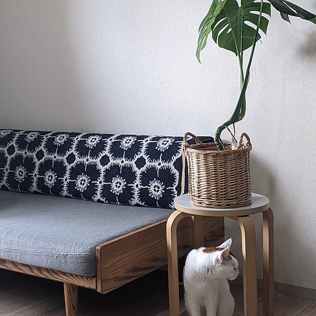 ichi.さんの部屋