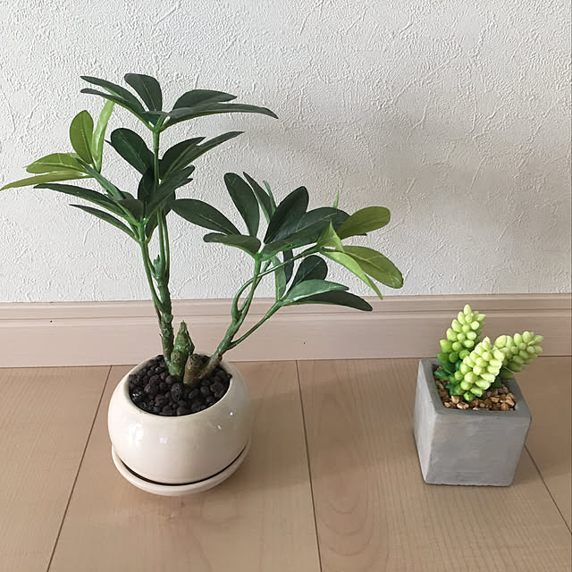 fuuuuさんの実例写真